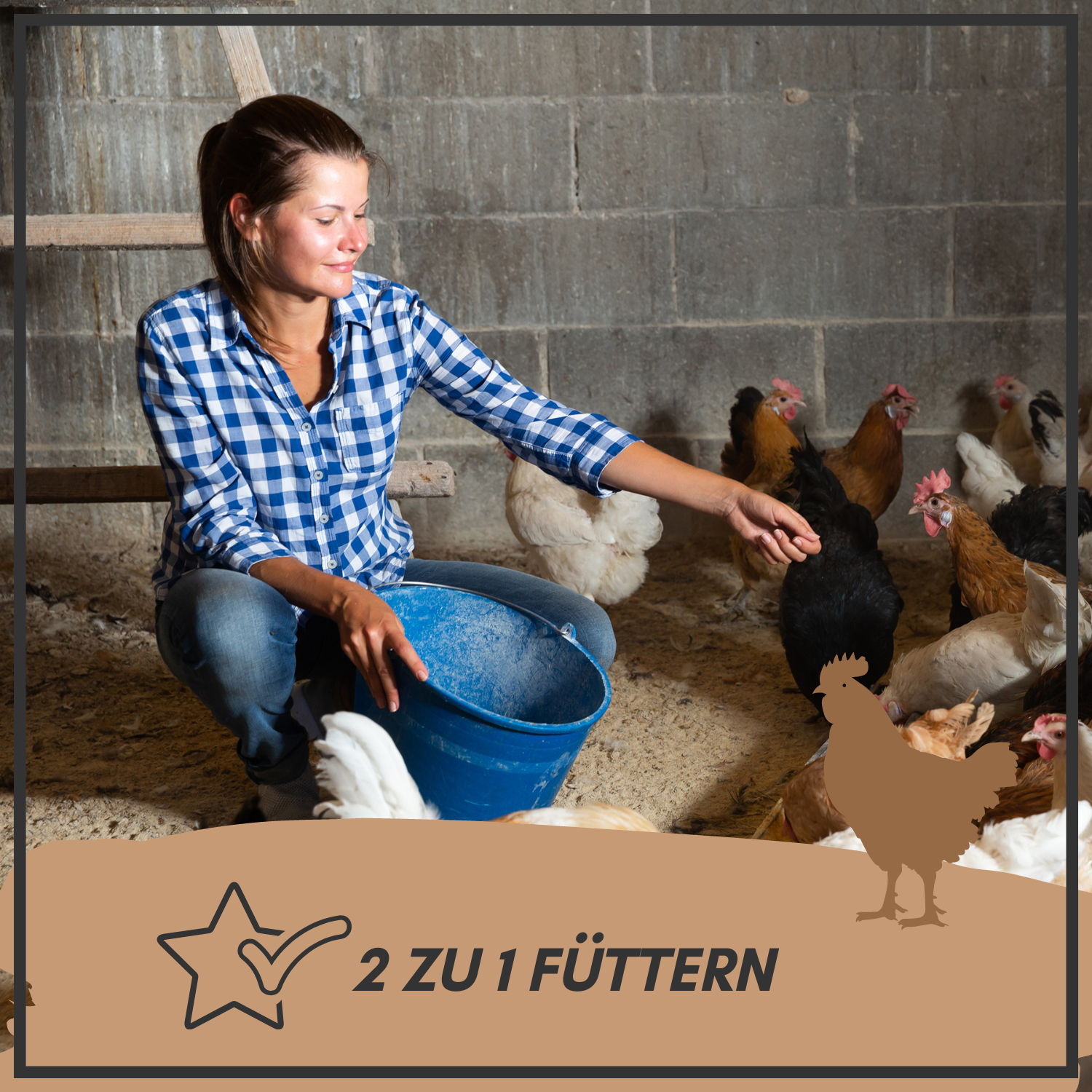 Supravit Legemehl Genfrei 25kg Ergänzungsfutter für Hühner 