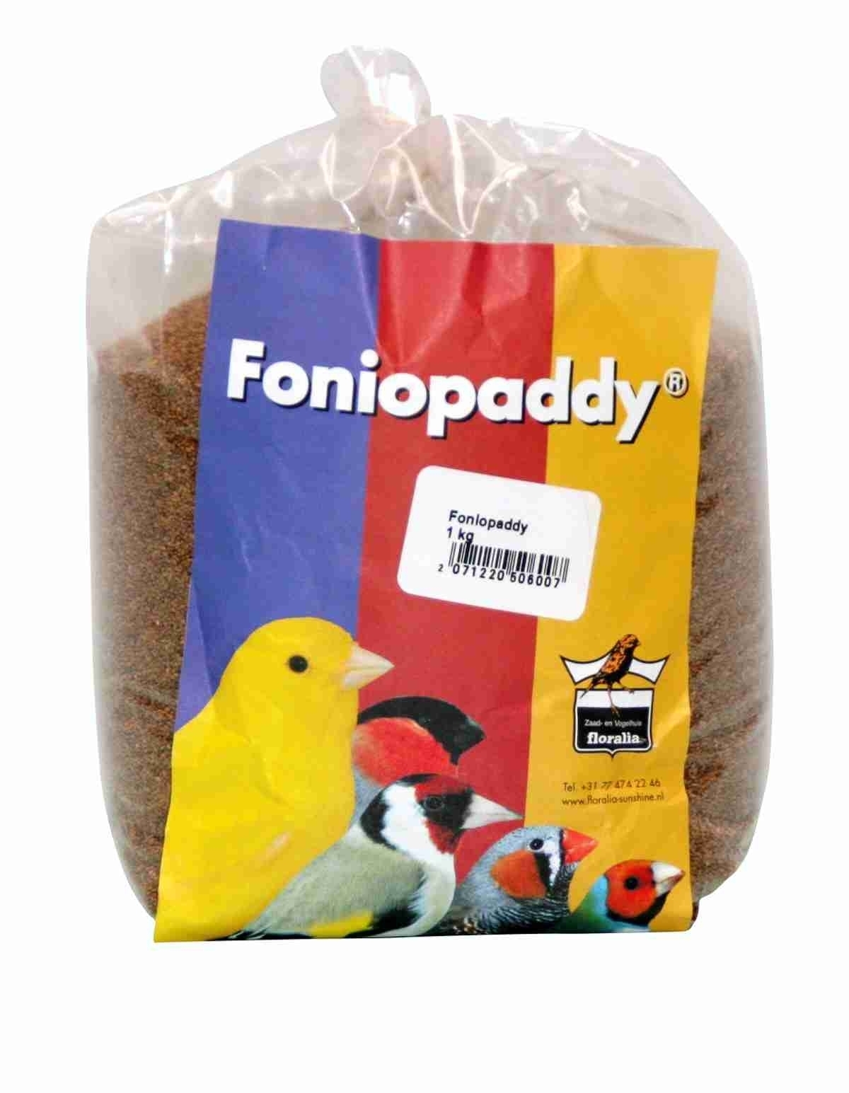 Grassamen Foniopaddy  1 kg